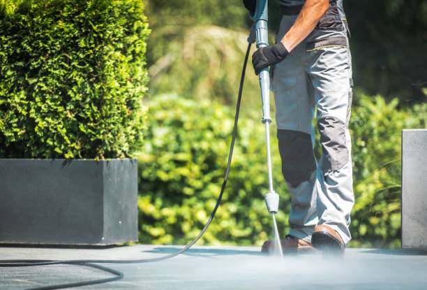 Best Roof Washing  in Ivins, UT