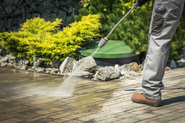 Best Gutter Cleaning  in Ivins, UT